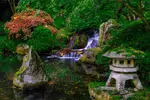 Japanese Garden - Office Wall Art