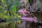 West Fork Reflection - Office Wall Art