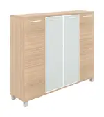 4 Door Storage Cabinet