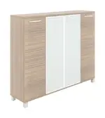 4 Door Storage Cabinet