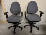Gray Mid-Back Task Chair