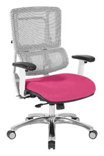 Mesh Back Task Chair with Lumbar Support