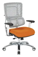 Mesh Back Task Chair with Lumbar Support