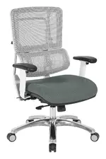 Mesh Back Task Chair with Lumbar Support