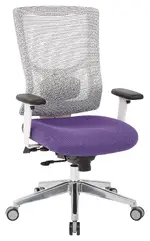 Mesh Back Task Chair
