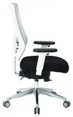 Mesh Back Task Chair