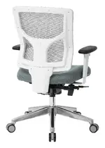 Mesh Back Task Chair