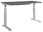 Sit Stand Height Adjustable Desk