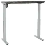 Sit Stand Height Adjustable Desk