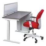 Height Adjustable Desk with Privacy Panel