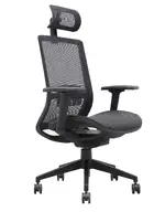 Mesh Back Task Chair with Headrest