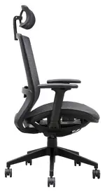 Mesh Back Task Chair with Headrest