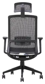 Mesh Back Task Chair with Headrest