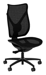 Mid Back Mesh Task Chair