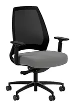 Mesh Back Task Chair