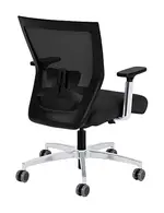 Ergonomic Mid Back Chair