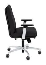 Mid Back Ergonomic Chair