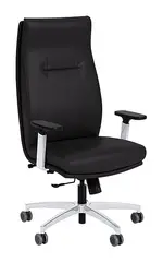 High Back Ergonomic Chair