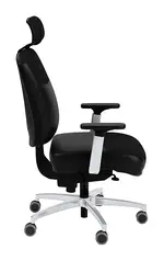 Ergonomic Office Chair with Headrest