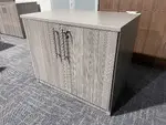 Gray 2 Door Storage Cabinet