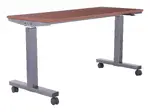 60 Pneumatic Height Adjustable Table