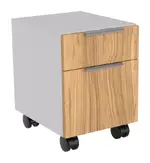 2 Drawer Mobile Pedestal