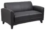 Office Waiting Room Loveseat Couch