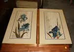 Set of 2 Matching Framed Prints