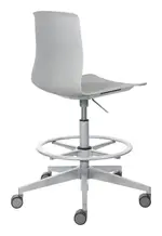 Adjustable Stool with Back