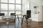 Modern Rectangular Desk