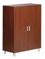 2 Door Storage Cabinet