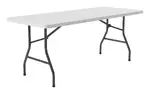 Plastic Folding Table