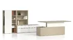 Sit Stand Desk with Storage