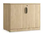 2 Door Laminate Storage Cabinet