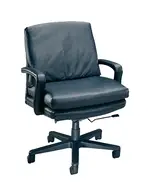 Executive Desk Chair