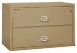 2 Drawer Lateral Fireproof File Cabinet - 45 Wide