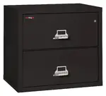 2 Drawer Lateral Fireproof File Cabinet - 32 Wide