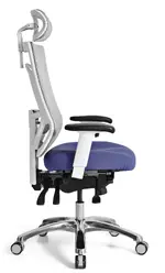 High Back Office Chair with Headrest