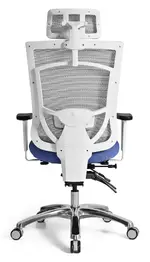 High Back Office Chair with Headrest