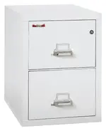 2 Drawer Vertical Fireproof File Cabinet - 18 Wide