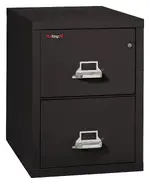 2 Drawer Vertical Fireproof File Cabinet - 18 Wide