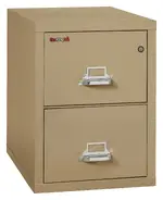 2 Drawer Vertical Fireproof File Cabinet - 18 Wide