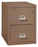 2 Drawer Vertical Fireproof File Cabinet - 21