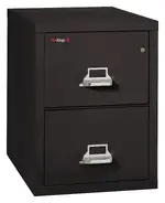 2 Drawer Vertical Fireproof File Cabinet - 21 Wide