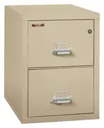 2 Drawer Vertical Fireproof File Cabinet - 21