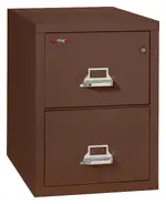 2 Drawer Vertical Fireproof File Cabinet - 21 Wide