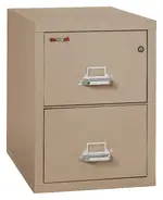 2 Drawer Vertical Fireproof File Cabinet - 21