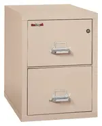 2 Drawer Vertical Fireproof File Cabinet - 21 Wide