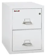 2 Drawer Vertical Fireproof File Cabinet - 21