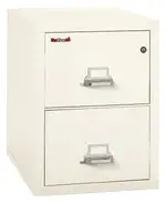 2 Drawer Vertical Fireproof File Cabinet - 21 Wide